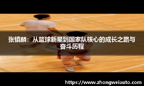 张镇麟：从篮球新星到国家队核心的成长之路与奋斗历程